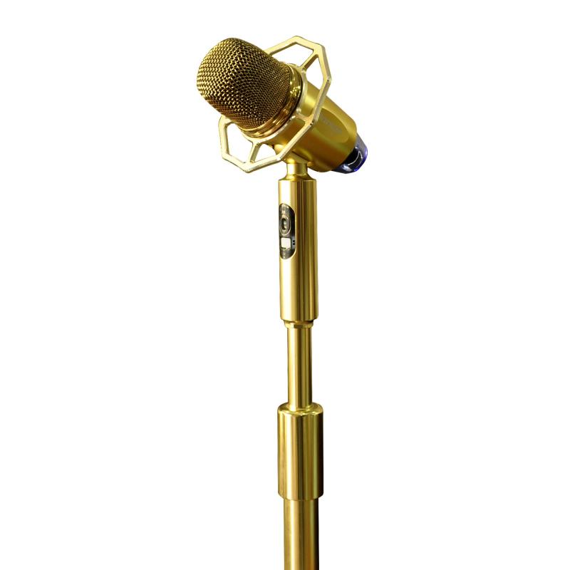 Micro karaoke đứng Bonus Audio MF8