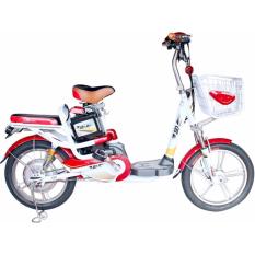 Xe đạp điện DK 18Y