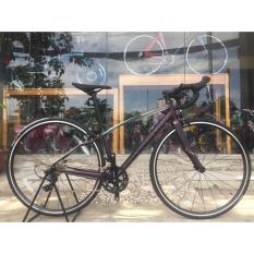 Xe đạp đua Specialized Dolce 2018 BLACK MINT