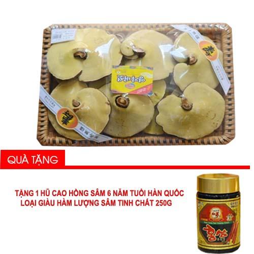 Nấm Linh Chi Thơm Korea thượng hạng 1Kg (vàng) - Thải độc,tốt cho gan, thận Tặng 1 hũ cao hồng sâm Hàn Quốc 6 năm tuổi 250g