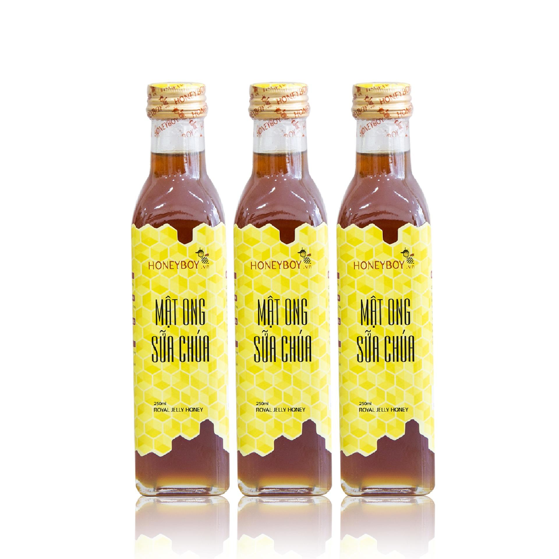 Combo 3 Mật ong sữa chúa Honeyboy 250ml