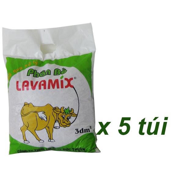 Phân Bò Nguyên Chất - 5 túi ( 3dm3)