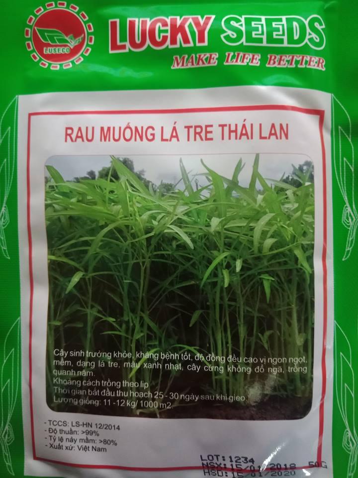 Hạt giống rau muống lá tre thái lan - 50gr