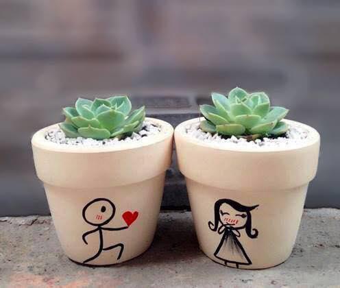 Combo 2 chậu sen đá loại trung_couple love