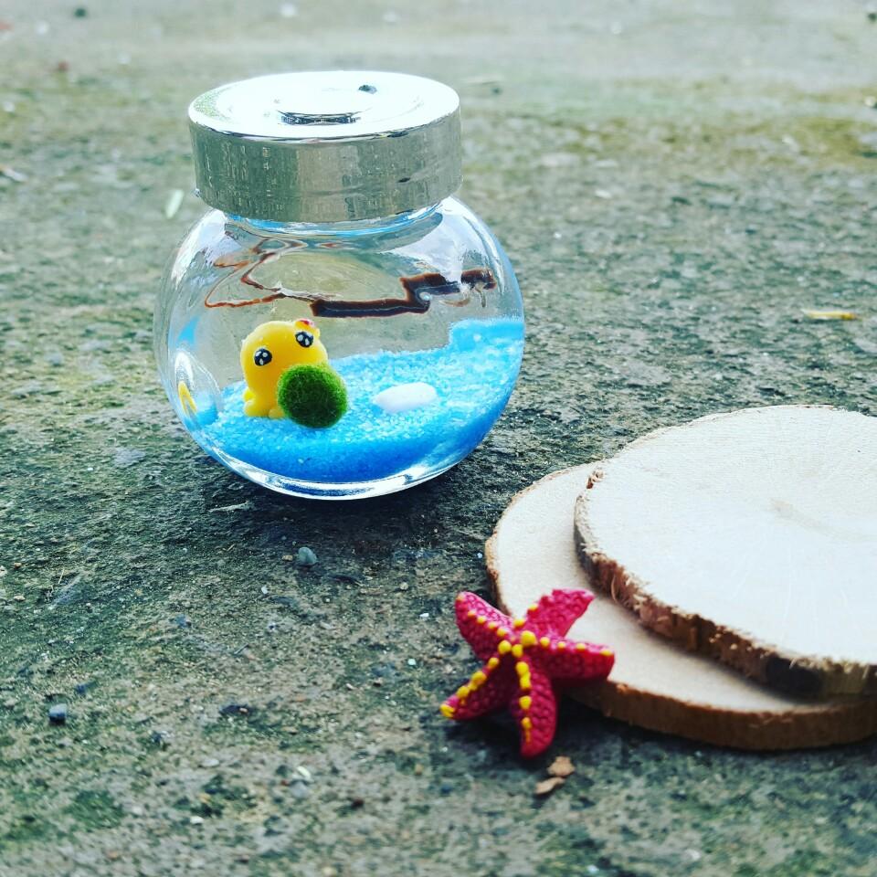 Set nghiêng nhỏ marimo đại dương xanh