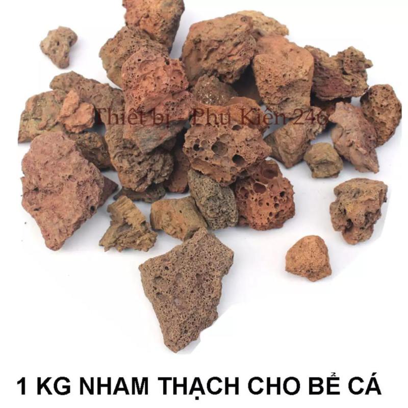 1kg Đá nham thạch dùng để trang trí và lọc nước hồ cá