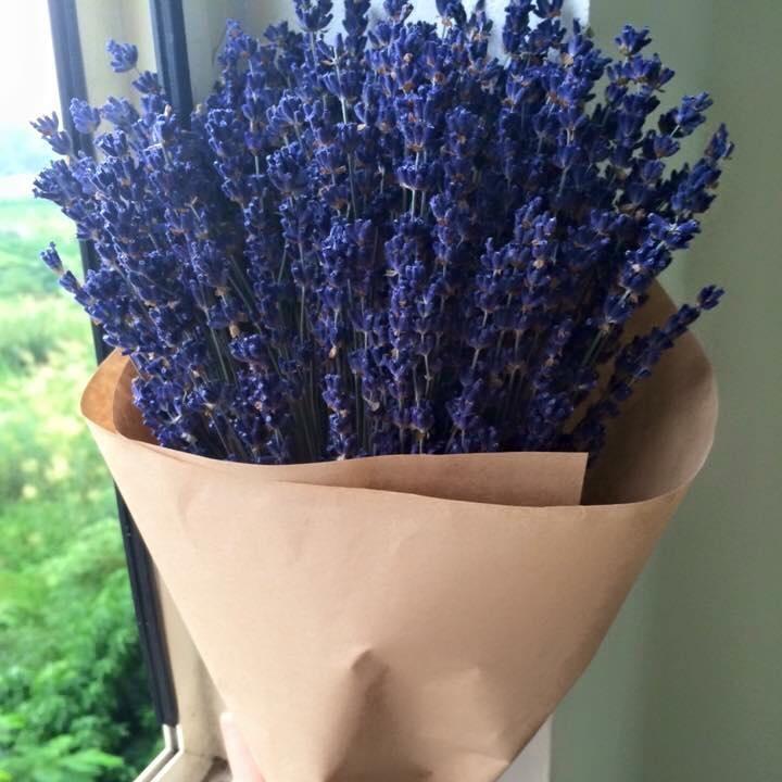 Bó Hoa khô Lavender Pháp tặng kèm túi thơm