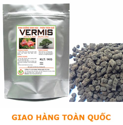 vermis.png