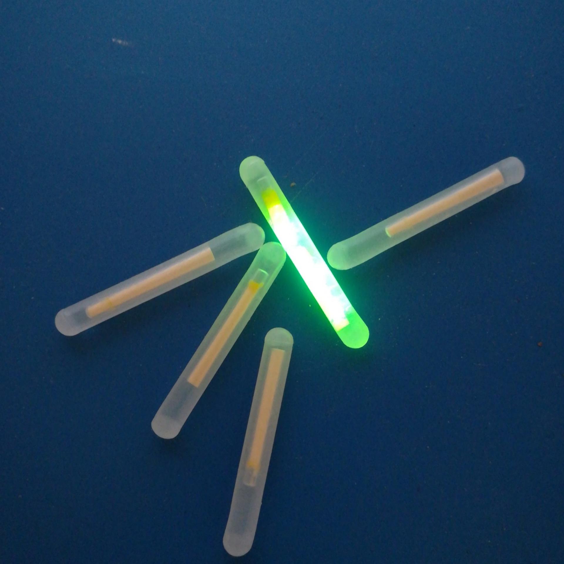 Combo 10 Cái Đèn Quỳnh Quang Câu Cá Đêm