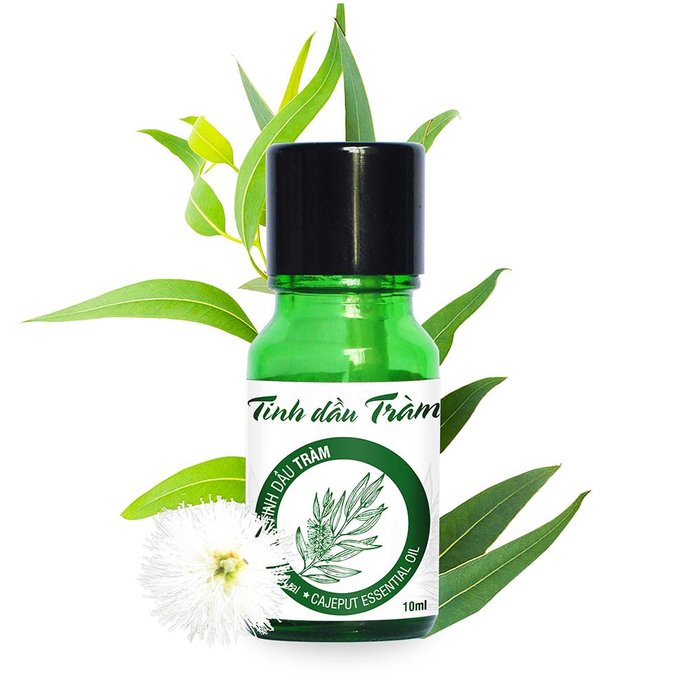 Tinh dầu tràm đất việt 10ml