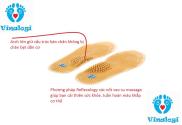 HCMLót giày cao cấp masssage vinalogi option 2