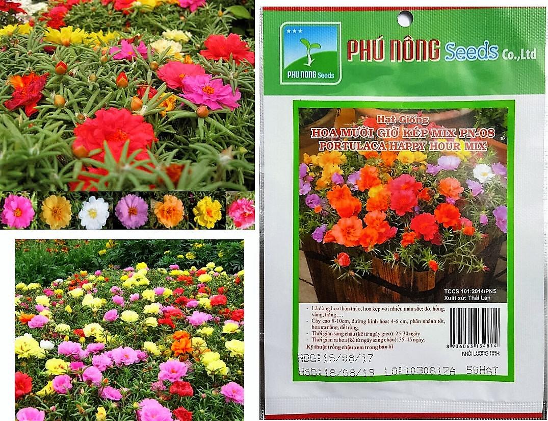 [HCM]HOA MƯỜI GIỜ MIX KÉP THÁI LAN  ( PHÚ NÔNG) PN08  - KLT 50 HẠT .