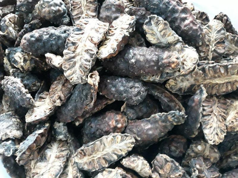 Nhàu Khô giúp giảm cân hiệu quả