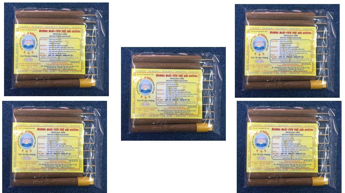 Nhang ngải cứu đông y Tuệ Hải Đường cỡ trung - combo 5 Hộp (10 chiếc 1 hộp)