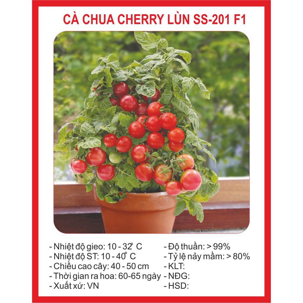 Hạt giống cà chua lùn đỏ