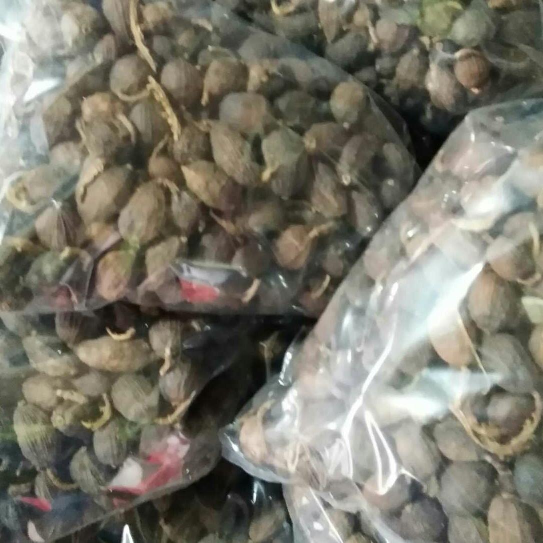 Thảo quả khô 1kg