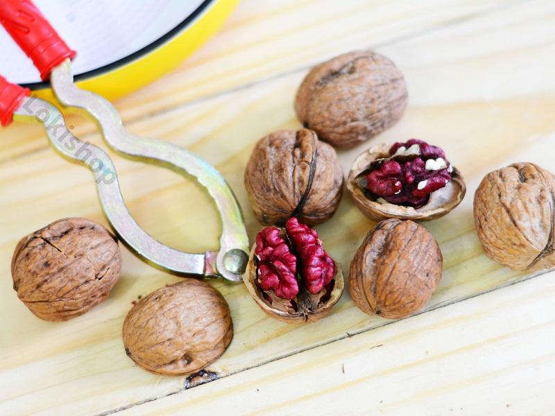 500g óc chó đỏ mỹ