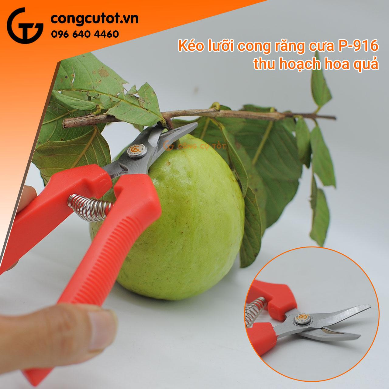 Kéo thu hoạch hoa quả - kéo tỉa mũi cong Sagawa P916 160mm