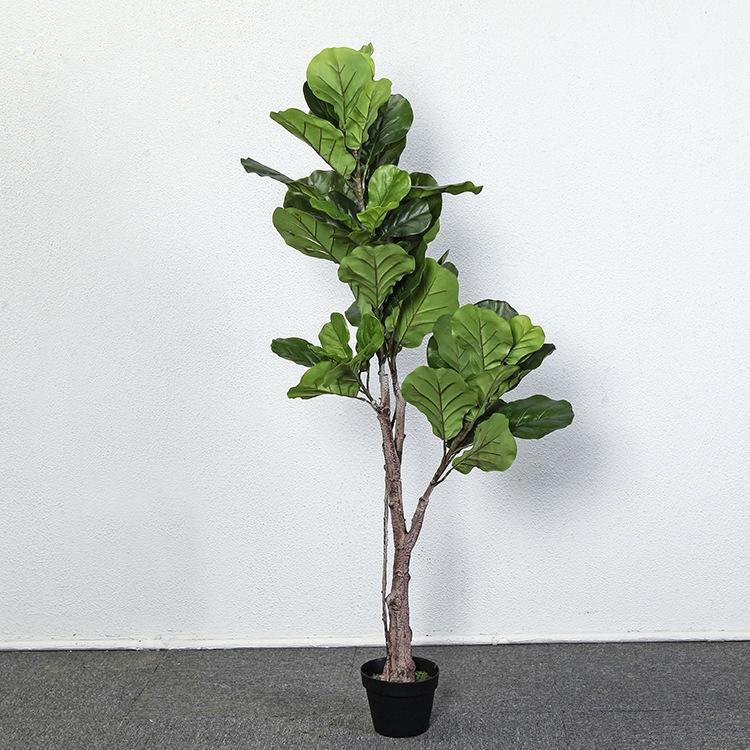 [HCM]Cây Bàng Singapore giả, cây giả trang trí trong nhà 1m5 - CC63 - Jassi Decor