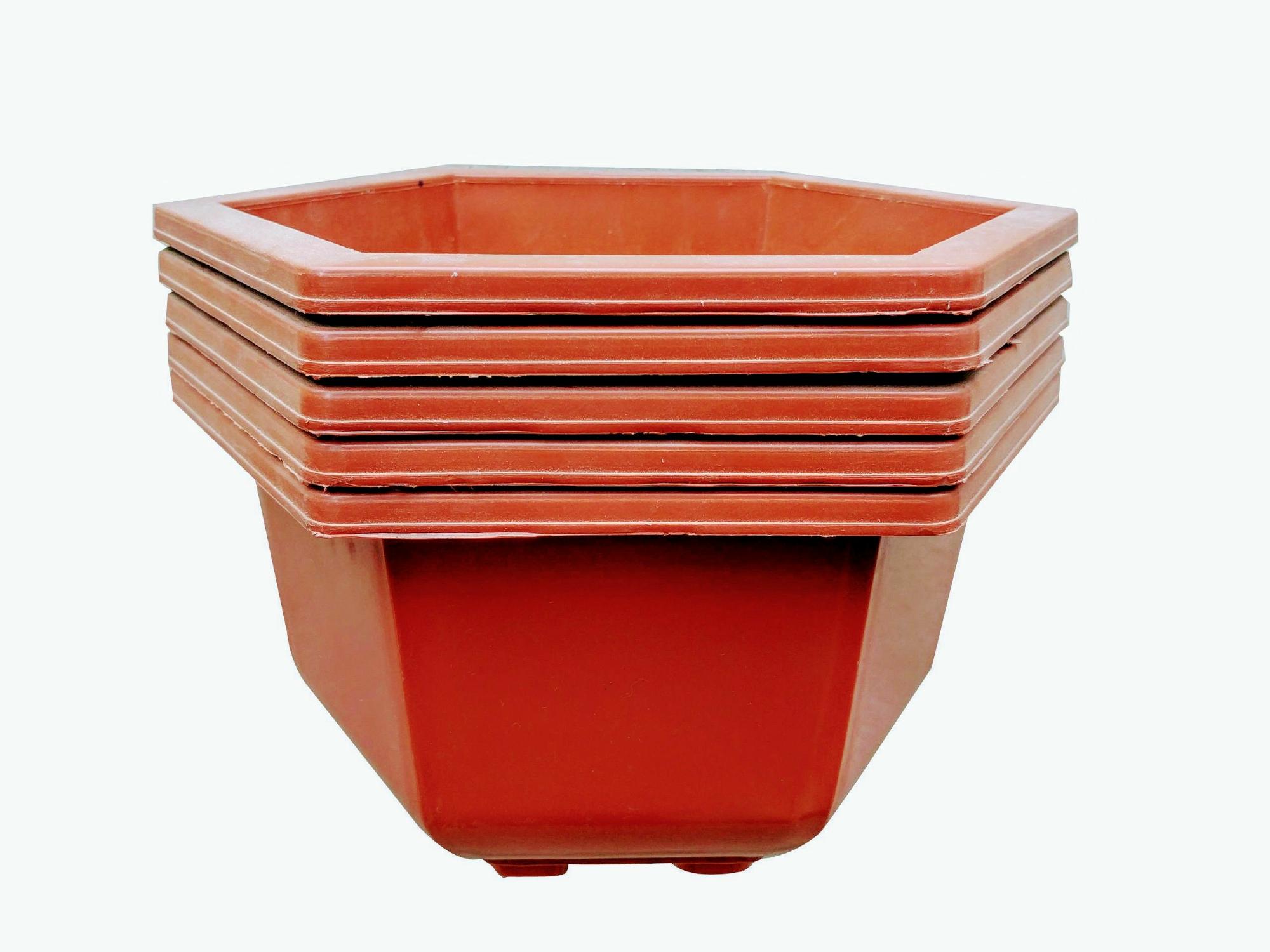 Combo 5 chậu nhựa trồng hoa lục giác 25X15cm