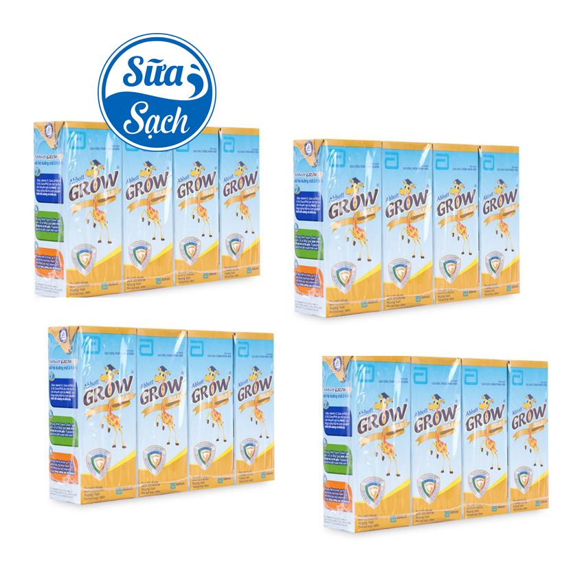 Bộ 16 hộp sữa nước Abbott Grow Gold hương vani 180ml