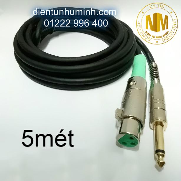 Dây micro - Dây Jack canon cái ra 6ly 5m