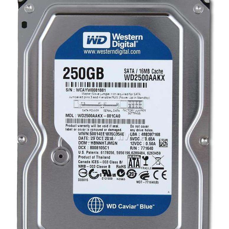 Ổ cứng RN Westem Blue Bảo hành 12 tháng đổi mới