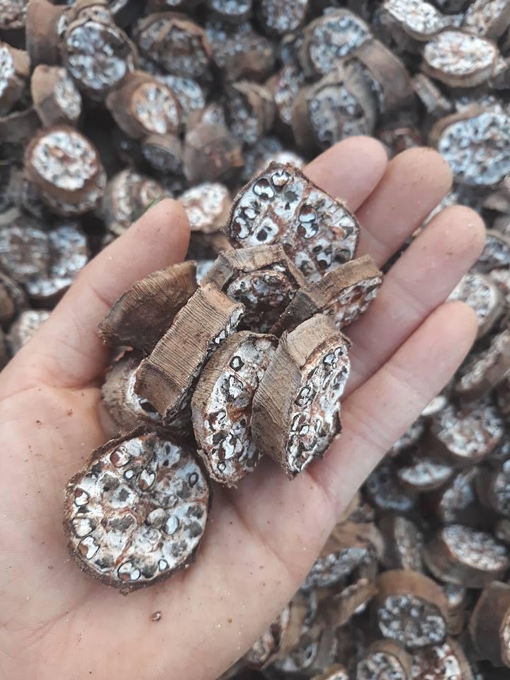 Chuối hột rừng thái lát sấy khô 1kg
