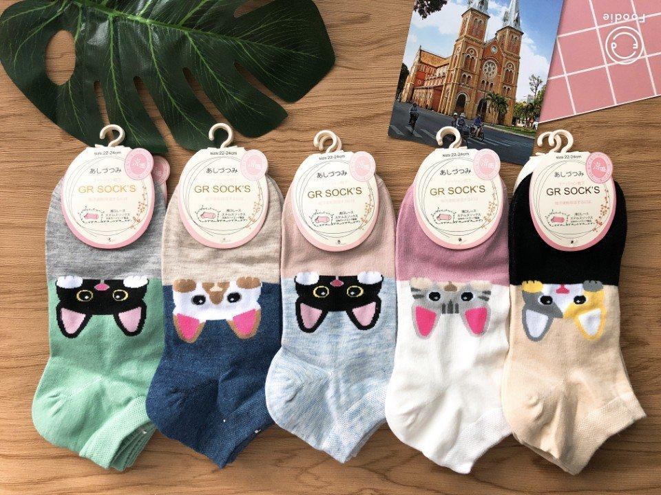 Coombo 5 đôi tât cổ ngắn nữ cute