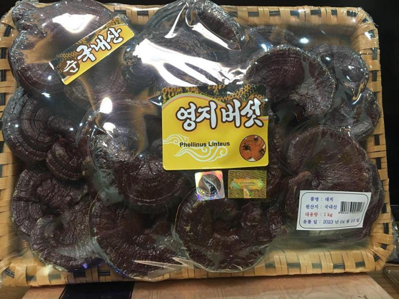 Nấm linh chi đỏ Hàn Quốc nội địa cao cấp khay 1kg hỗ trợ thanh nhiệt giải độc gan cao cấp