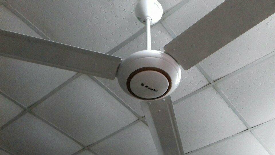 Quạt trần Phong Lan CF56PL - S mẫu mới