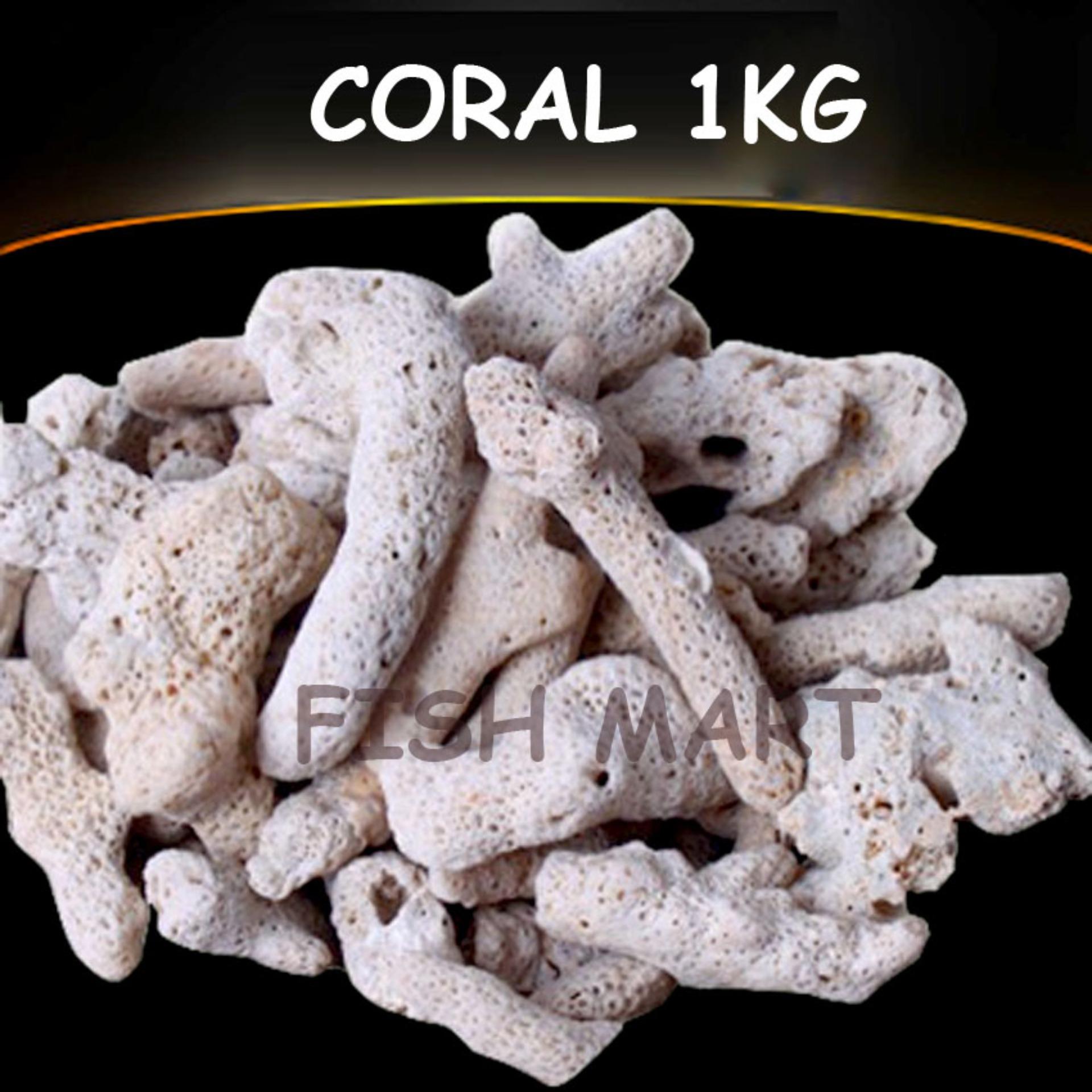 San hô đẹp 1KG lọc nước, trang trí bể cá, hồ thủy sinh