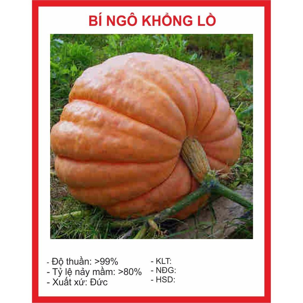 Hạt giống bí ngô khổng lồ 60 - 70kg