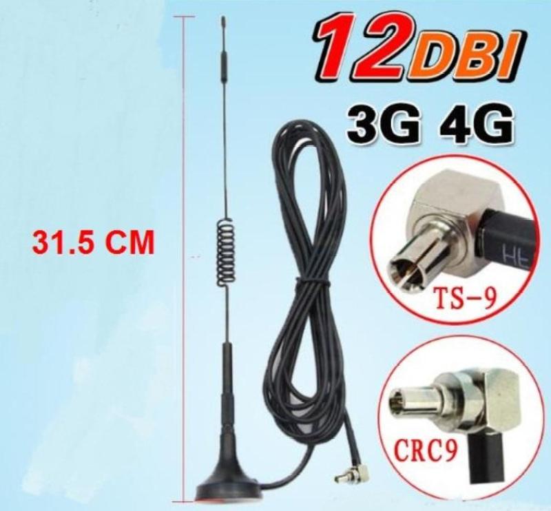 Bảng giá Anten thu sóng 3G 4G cho bộ phát wifi từ SIM 3G 4G chuẩn TS9/CRC9 12dB Phong Vũ