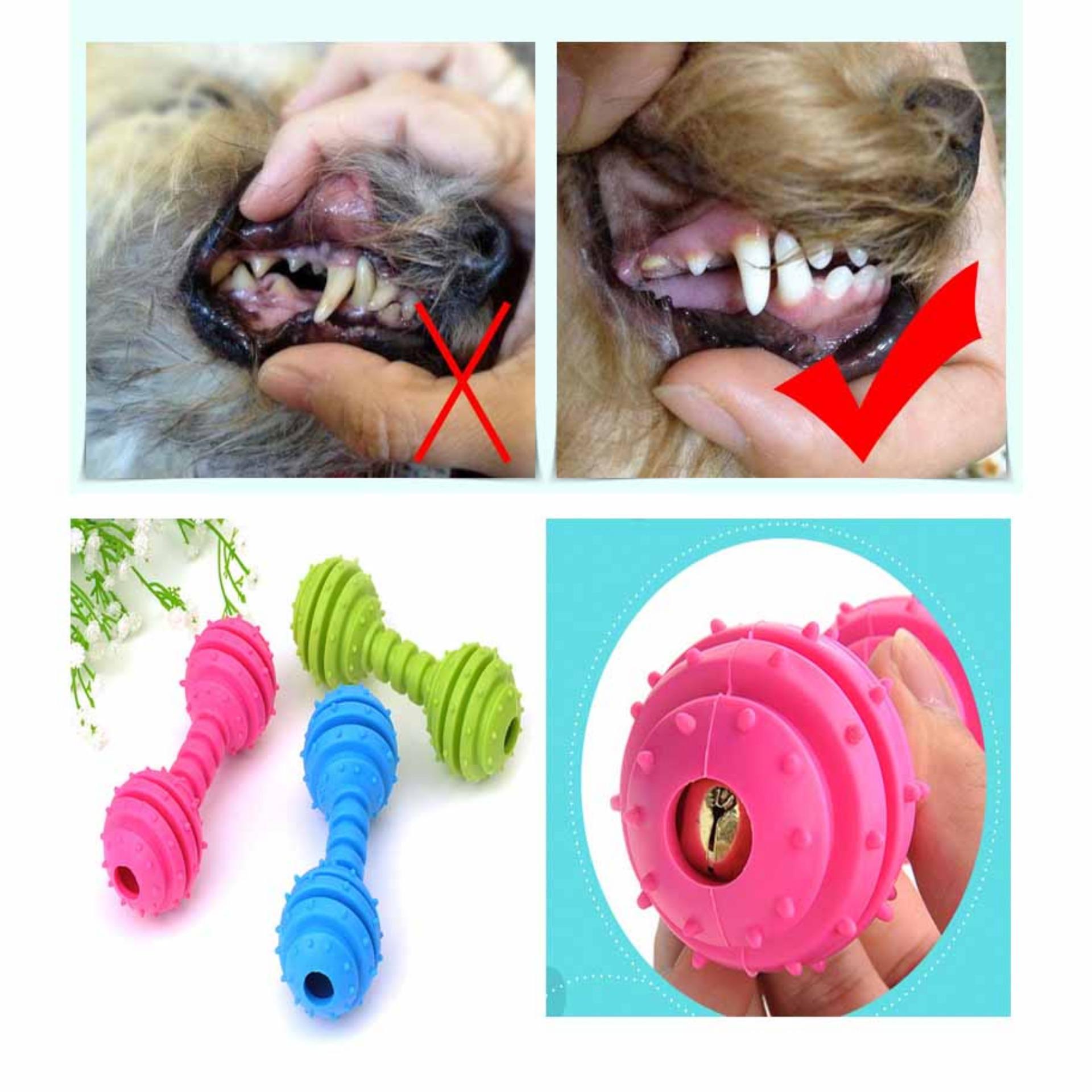 Xương gặm sạch răng cho chó - Xương đồ chơi sạch răng cho chó - Đồ chơi cho chó - ĐỒ CHƠI 004