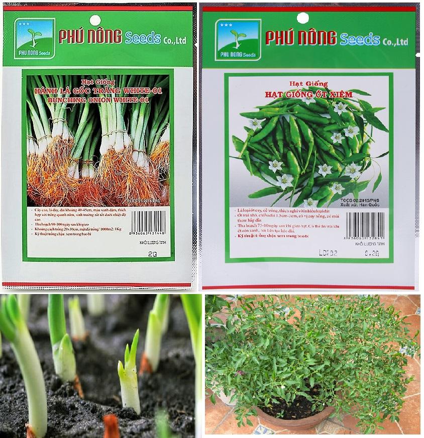 [HCM]BỘ 02 GÓI HẠT GIỐNG GIA VỊ  PHÚ NÔNG :HÀNH LÁ (GÓI 2 G)+ ỚT XIÊM (GÓI 0.2G).