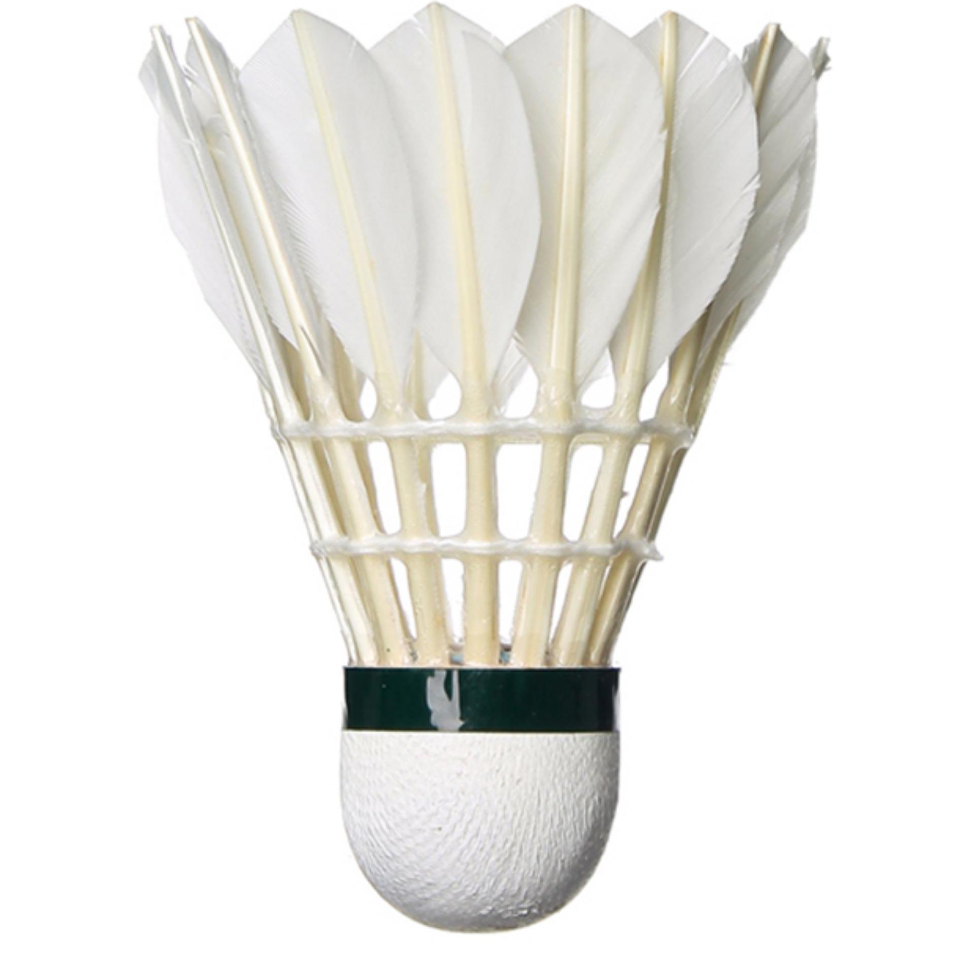 Ống Cầu Lông Hiệp Thành AAA 12 Quả - Cầu Lông Đế Da Cao Cấp