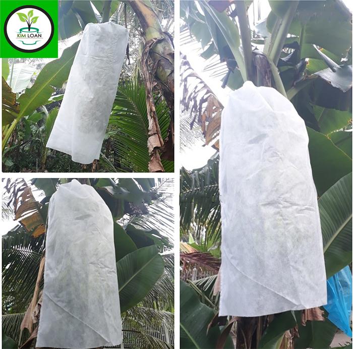 Combo 10 túi trái cây chuyên bao buồng chuối 60x100cm