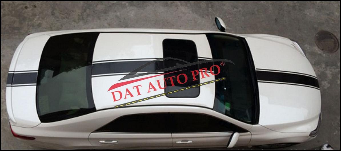 Tem dán dọc từ Mui xe tới capo WRC màu đen.
