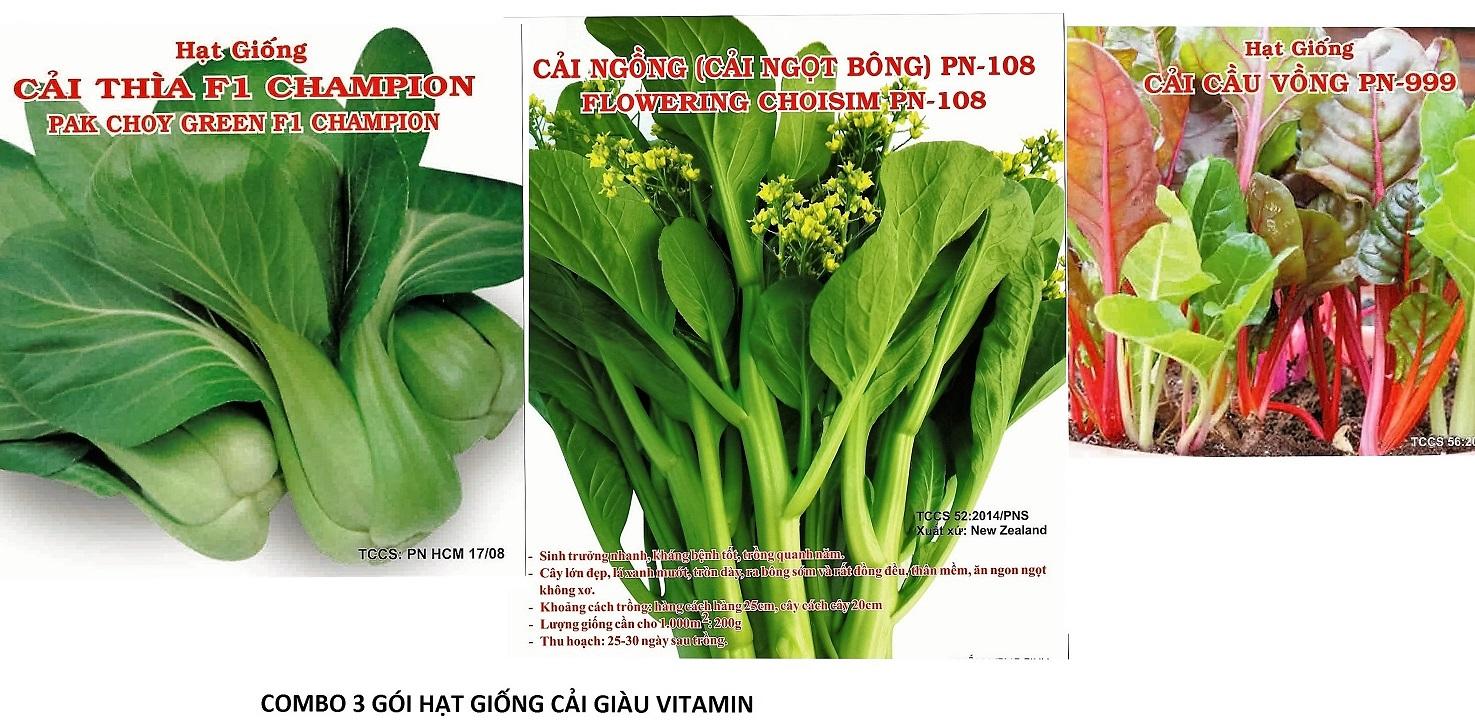 Combo hạt giống 3 loại rau lá giàu vitamin: cải cầu vòng -cải thìa -cải ngọt bông
