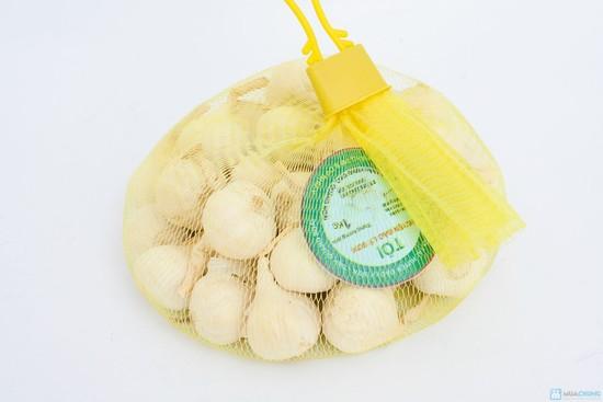 Tỏi lý sơn nhiều tép