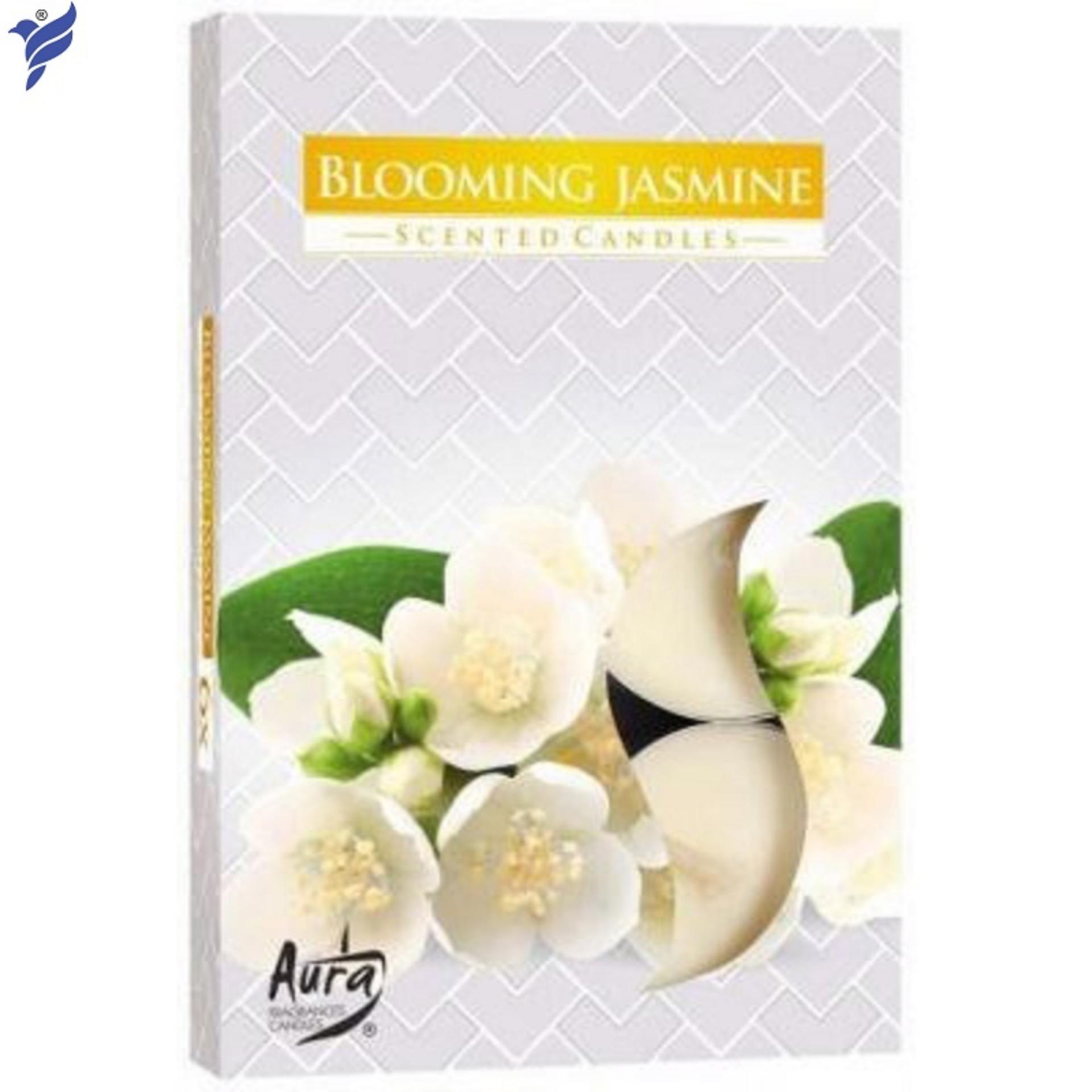 Hộp 6 nến tealight thơm Blomming Jasmine Bartek Candles FtraMart FTM-BAT0672