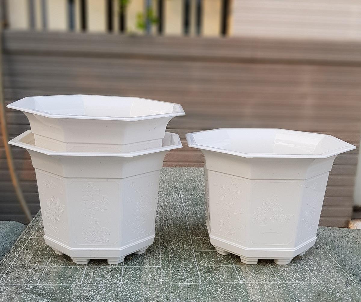 [HCM]Bộ 2 chậu nhựa bát giác trồng hoa trắng 22x17cm