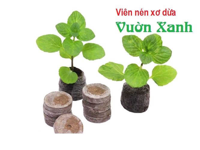 Combo 50 viên nén xơ dừa (viên nén ươm cây, ươm keiki)