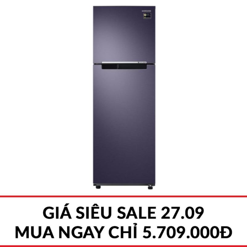 Tủ lạnh 2 cửa Samsung RT25M4033UT/SV 256L (Xanh xám)