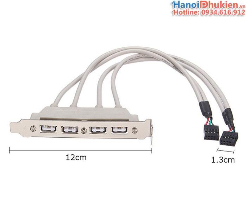 Bảng giá Dây cáp USB 2.0 9 Pin 2 Port to 4 Port USB Phong Vũ