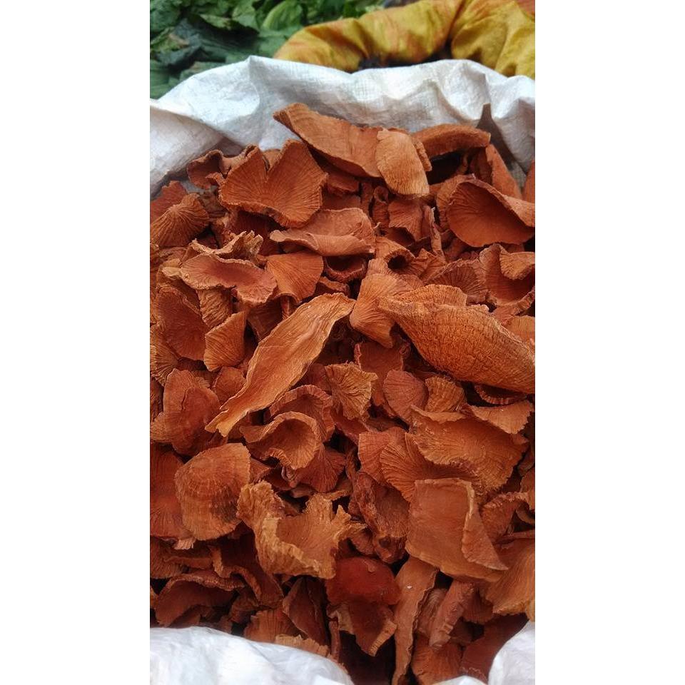 Tầm gửi nghiến rừng 500g khô