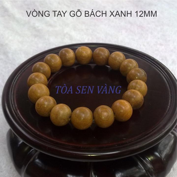 BÁCH XANH 12_KN.jpg