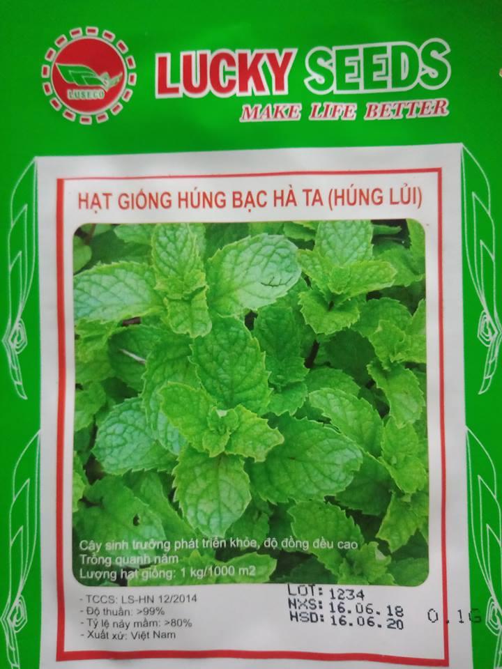Hạt giống húng bạc hà ta -0.1gr