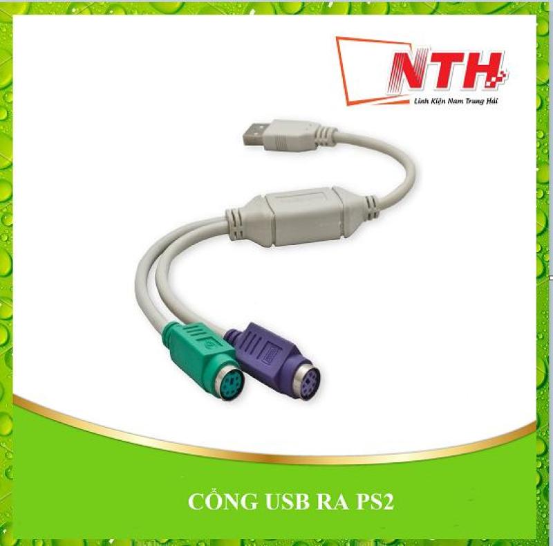 Bảng giá CỔNG USB RA PS2 Phong Vũ